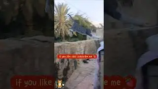 Crazy Cat Jumps at the Camera 😹 | Funny Cat Attack Moment#cat #funny #shorts #猫#kitten #katze