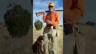 Quail Hunting Tips 2023 - Preparing For Quail Hunting in New Mexico 2023