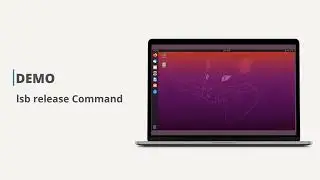 5.19 Lsb Release Command