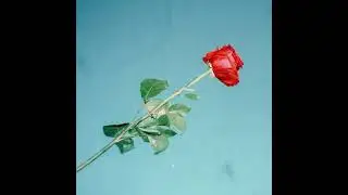 Jye - Disposable Love (Full EP 2017)