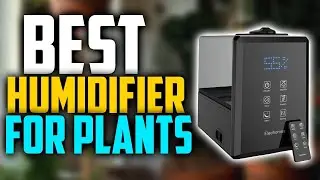 ✅Top 5: Best Humidifier For Plants In 2022 👌 [ Best Humidifying Plants ]