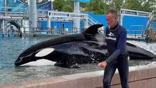 SeaWorld Orlando | Nalani's 16th Birthday Killer Whale Up Close Tour Highlights 4K (9-19-22)