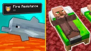I Checked Minecraft Myths From Players | Will the Villagers be able to sleep in The Nether?