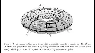 Surface Codes
