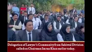 Delegation of Lawyer's Community from Sahiwal Division called on Chairman Imran Khan earlier today