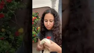 El jefe le dio una buena recompensa al empleado m&aacute;s leal 😱