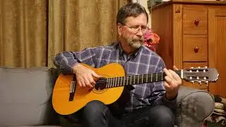 Aria ak-20 gitaar