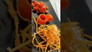 Culinary School In Italy: 5 Course Northern Italy Meal (Day 20)