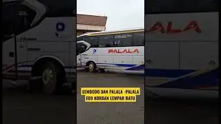 SEMBODO DAN PALALA | PALAPA E09 KORBAN LEMPAR BATU#shots #bismania #pencakarlangit1418