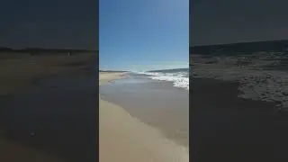 60s of Shinrin Yoku. Beach vibes in Portugal #nature #mindfultravel #mindfulness #connection
