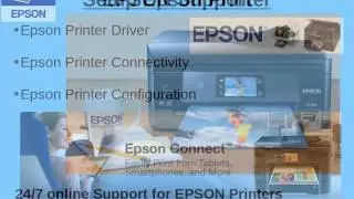 Epson Support