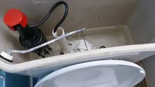 How to solve the Champion 4 ghost flushing problem once and for all!