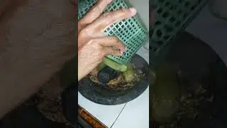 sambel terong