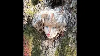 DOLL&rsquo;S HEAD TRAIL AT CONSTITUTION LAKES