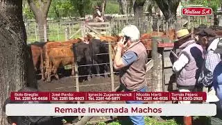Remate Gordo, Invernda y Cabañas | Tapalque
