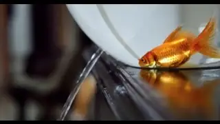 One Minute Film Competition Entry 6- Ashok Chouhan- Tap the Tap