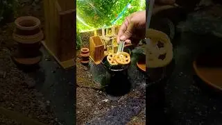 Mini PapadumVillage 😍🔥🥞 #shorts #viralshorts #Indian Food #Minicooking #Satisfying #asmr