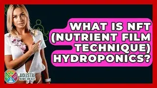 What Is NFT (Nutrient Film Technique) Hydroponics? - Holistic Balance And Bliss
