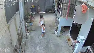 #loveanimals #careforanimals #respectanimals #dogs #shihtzu #goldenretriever #kids #cctv #views #fyp