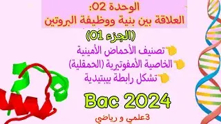 الوحدة02: العلاقة بين بنية البروتين و وظيفته|الجزء الأول|شرح الخاصية الامفوتيرية لأحماض الأمينية