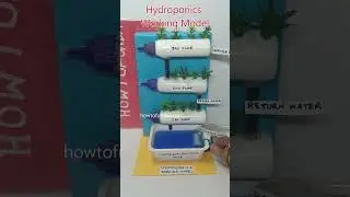 hydroponics working model for science project exhibition - shorts | howtofunda