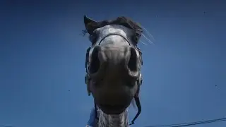 RDR2 Horse crash compilation
