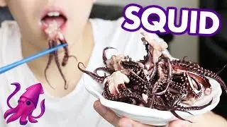 ASMR Squid Tentacles (Eating Sounds) *No Talking* | ASMR Seafood, Eating Squid Mukbang | Eating Show