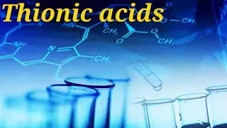 Bsc Thionic acids