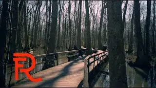 D.Quarles & Torrin - THERAPY (OFFICIAL MUSIC VIDEO)