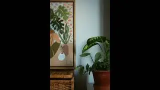 Deep Focus Room &ndash; 1 Hour of Calm Stillness for Study & Work