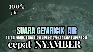 Suara gemricik air buat terapi semua burung cepat gacor, relaksasi suara gemricik air !! Auto respon
