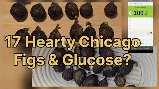 How Many Chicago Hardy Figs Is Too Many? 🍽️ | Testing Glucose Spikes & Sweet Limit!
