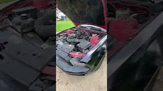 Anyone knows how to get rid of this noise P0193 and P0406 codes on 2005 ford mustang.