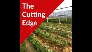 Episode #46: Agrivoltaics Part II, UW Kegonsa Solar Project