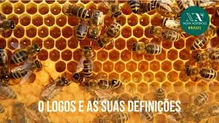 O Logos e as suas definições