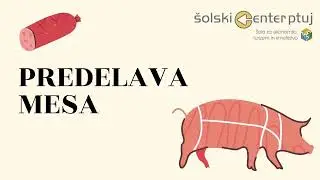 Predelava mesa