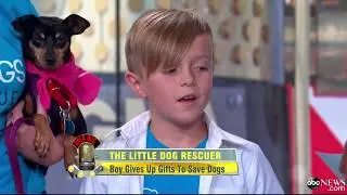 Ethan Loves Dogs - Booster Fundraising with CustomInk Success Story