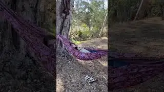 Weekend Getaway NSW - No traffic, no noise, no notifications.🌞🌳#travel #slowtravel #tinyhouse
