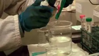 Welcome to Nutralab Canada Introduction Video