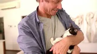 How to Read Your Cat&rsquo;s Mind in 5 Easy Steps | Clever Cat Corner