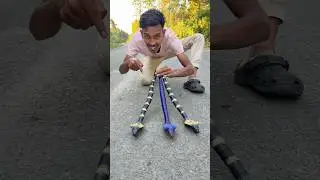 Rc 3 Ta Snake Unboxing