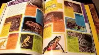 ASMR - Page turning - #15 - Animal Encyclopedia - no talking