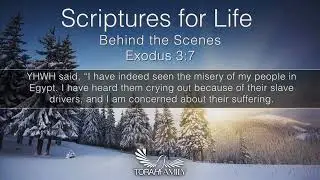 Scriptures for Life  |  Behind the Scenes