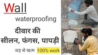 Exterior wall water proofing |wall fungus problem solve|sign plus paint