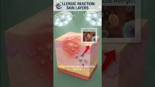 What Happens When You Eat Jujube? | Jujube Digestion & Benefits | Food Effect Science  #science#food