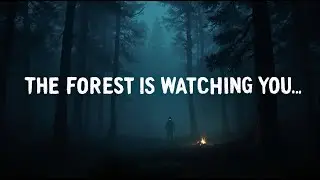 Do Not Enter the Woods After Dark | 5 True-Style Horror Stories