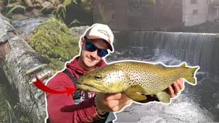 Un POISSON RECORD dans une PETITE RIVI&Egrave;RE