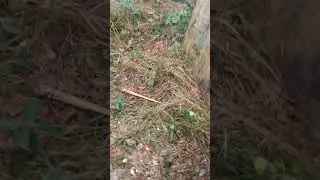 Scott Fanger Crime Scene investigation #1