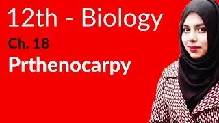 2nd Year Biology, Ch 18 - Explain Prthenocarpy - 12th Class Biology