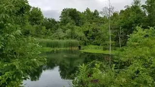 ROAMING RAVEN RV - Stow Springs Campground, Stow Ohio